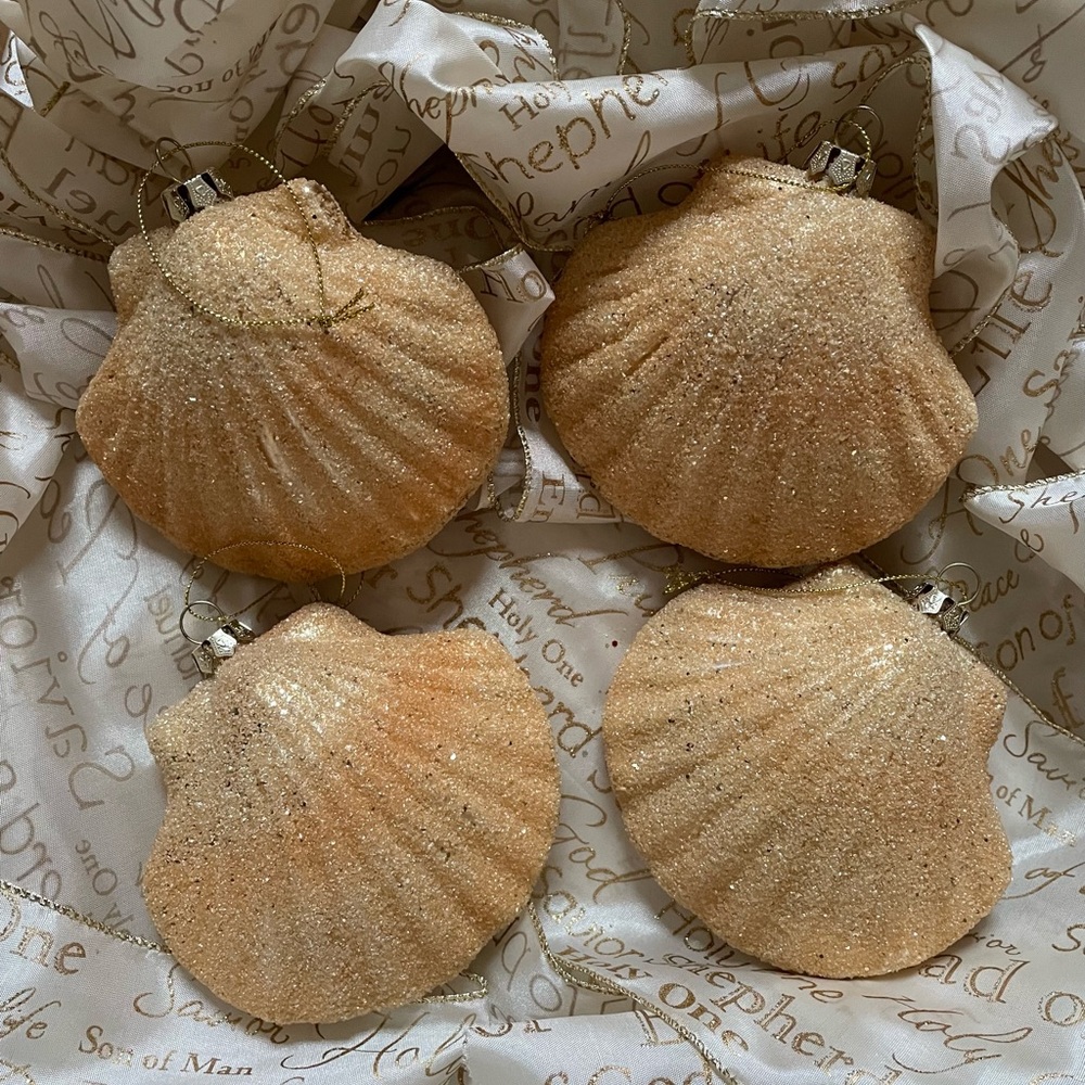 Seashell ~ Shell Ornaments